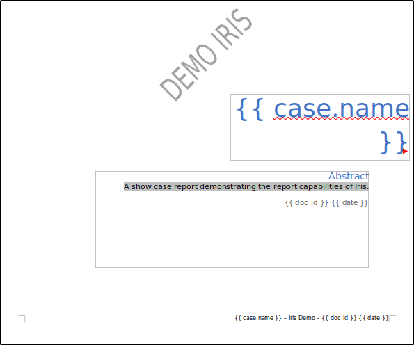 DFIR-IRIS report generation — step 44