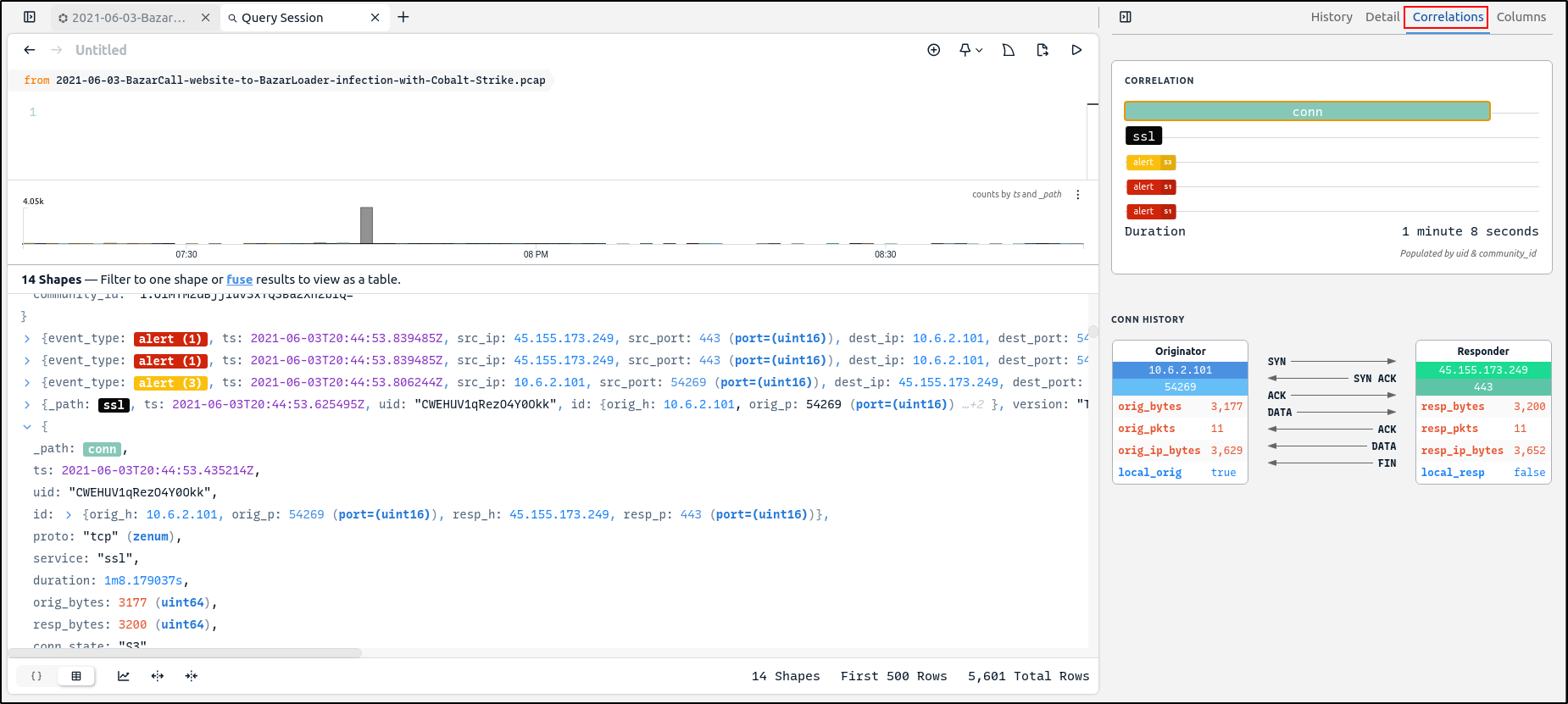 The selected connection record shown in the Zui Detail pane